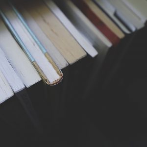 Цветы для Элджернона: как быть самым умным