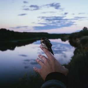 Немного из практической психологии