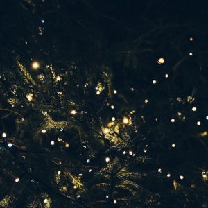 Новогодний Базар в Новой Голландии