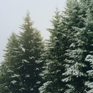 АНОНС СОБЫТИЙ НА НЕДЕЛЮ | 4 — 10 декабря