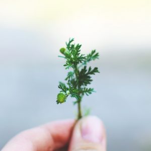 Открытый семинар по организации Чистых Игр