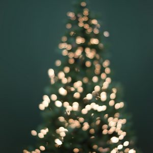 Церемония награждения в рамках Новогоднего бала 2017