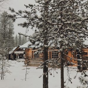 Финляндия: инструкция по применению