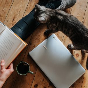 Телеграм каналы для поиска работы на фрилансе