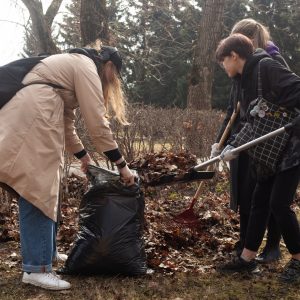 Субботник на Чесменском воинском мемориальном кладбище
