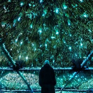 Выставка HYDRA — искусство новых медиа в контексте эко-проблем
