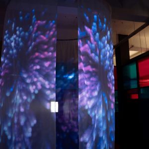 Презентация проекта «The Rainbow Club» в Точке кипения