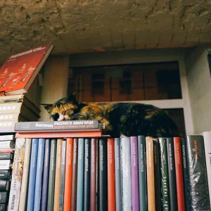 10 неизвестных книжных магазинов Питера